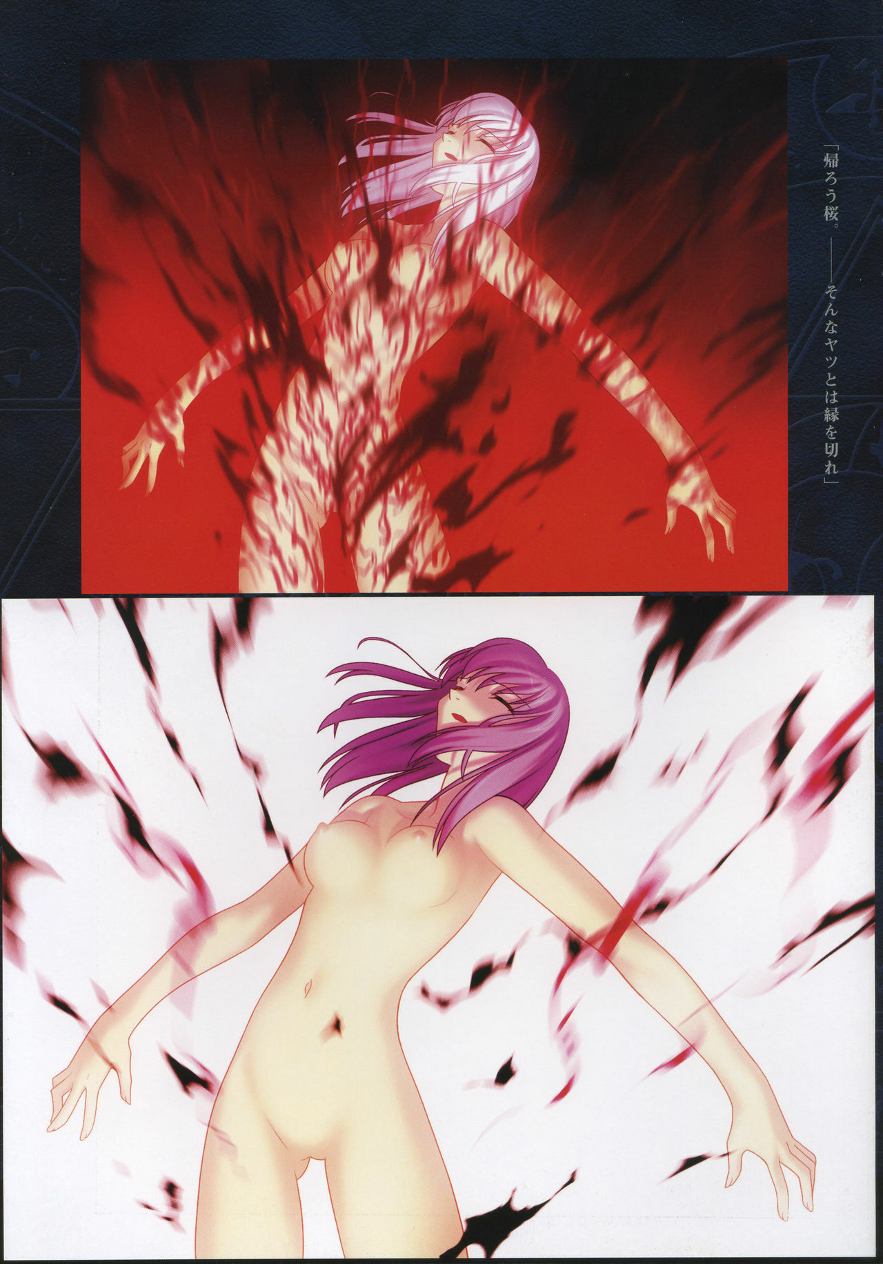 [Type-Moon] Fate/complete material I - Art material. page 109 full