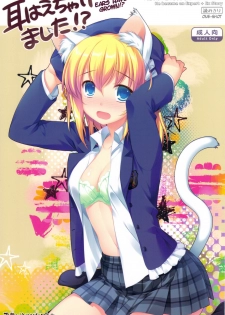 (COMIC1☆5) [Alpha to Yukaina Nakamatachi (ALPHa)] Mimi Haechaimashita!? | Ears Have Grown!? [English] [MumeiTL]