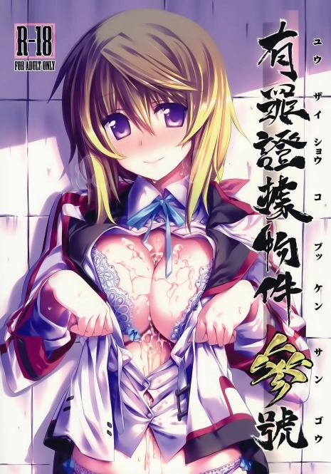 (C80) [Himura Nyuugyou (Himura Kiseki)] Yuuzai Shouko Bukken Sangou (IS ) [Spanish] [Koi Subs]