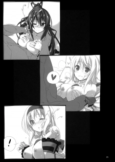 (C80) [Himura Nyuugyou (Himura Kiseki)] Yuuzai Shouko Bukken Sangou (IS ) [Spanish] [Koi Subs] - page 24