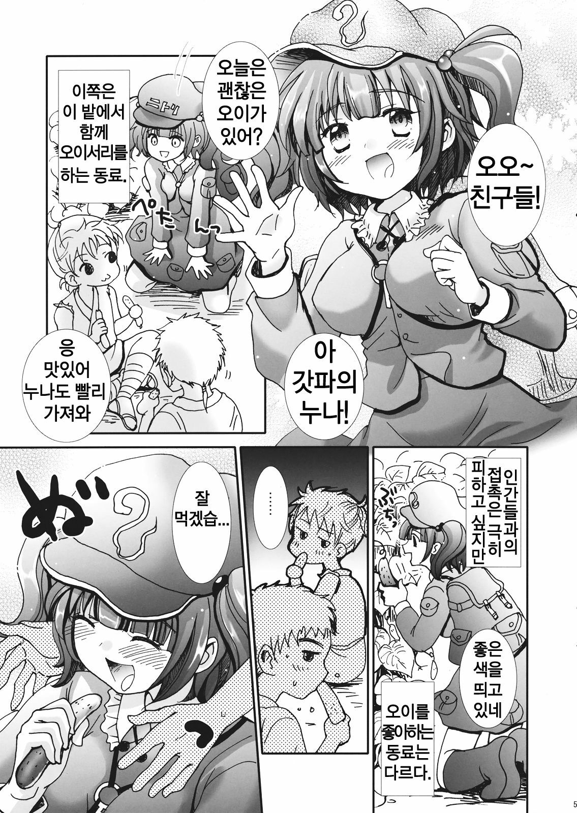(C80) [Mikazuki Ondo] Nitori Hokaku Sakusen (Touhou Project) (korean) page 5 full