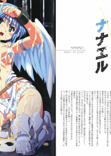 [Hobby JAPAN (Various)] Queen's Blade Kanzen Haiboku Gashuu Vanquished Queens 3 (Queen's Blade) - page 9