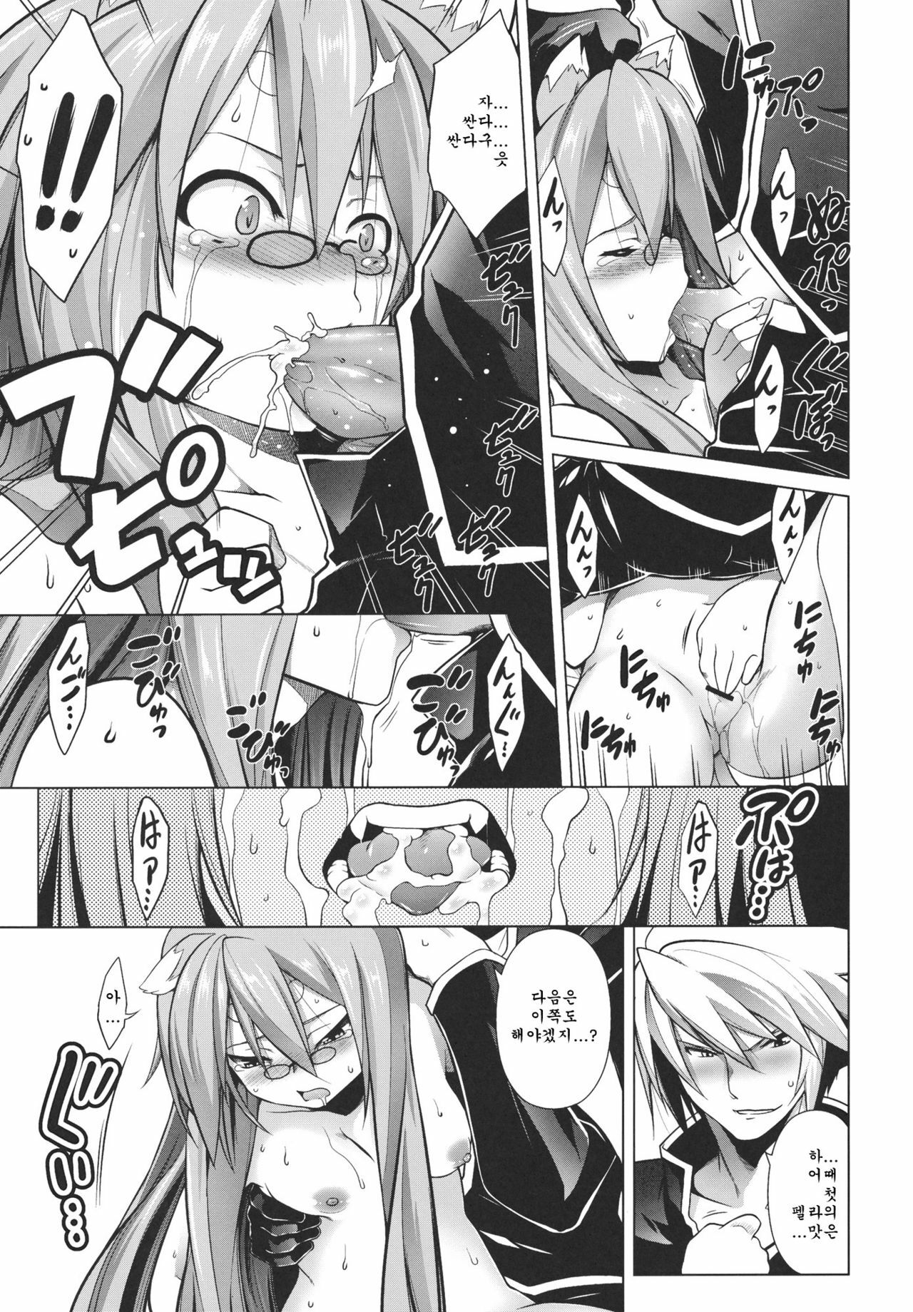 (C80) [STUDIO TIAMAT (TANABE)] BREAK BLUE STRAY CAT (BLAZBLUE) [Korean] [Team Arcana] page 14 full