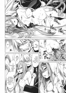 (C80) [STUDIO TIAMAT (TANABE)] BREAK BLUE STRAY CAT (BLAZBLUE) [Korean] [Team Arcana] - page 19