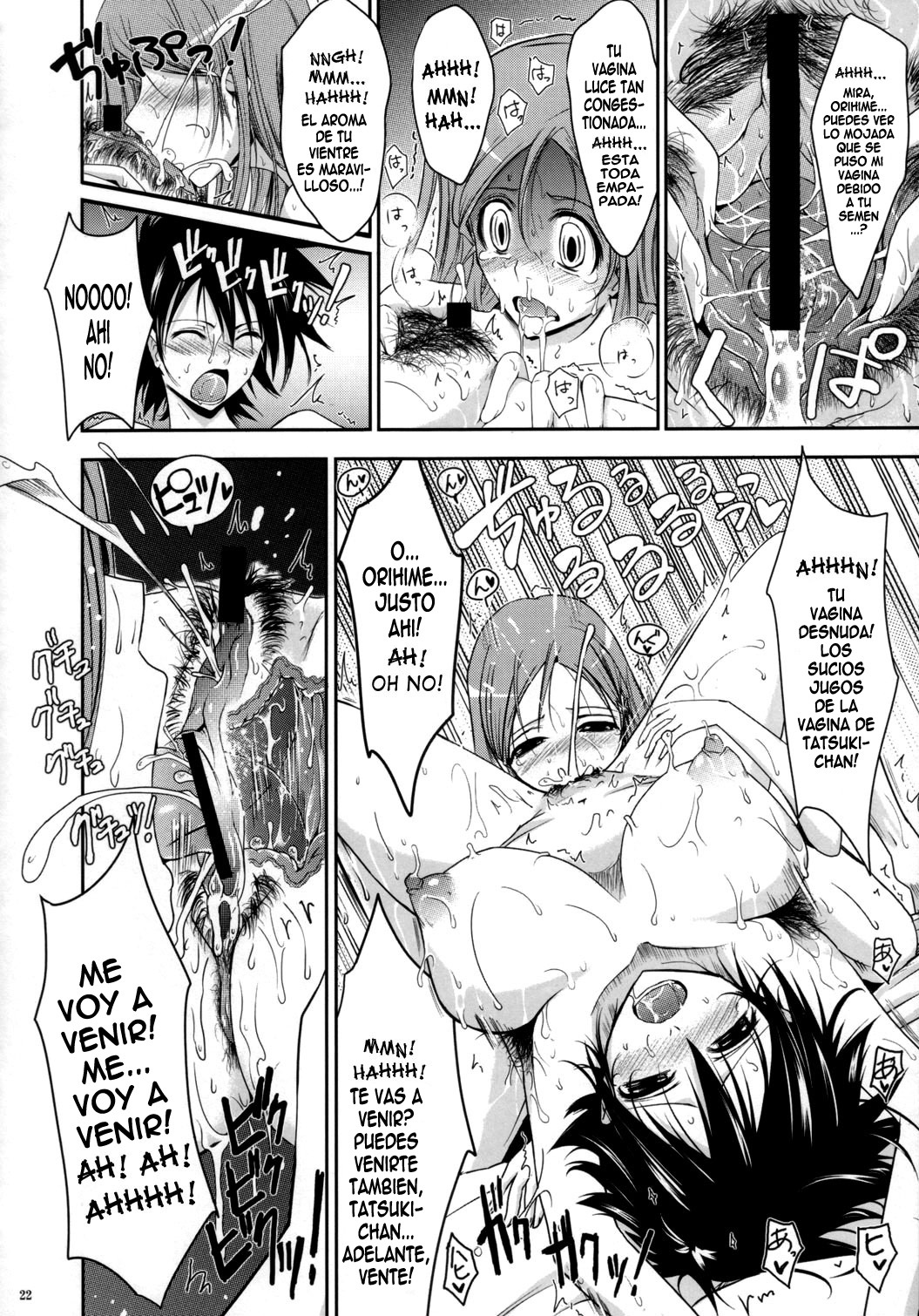 (C72) [Garyuh-Chitai (TANA)] Aki-Akane Zenpen (Bleach) [Spanish] [ElMoeDela8] page 21 full