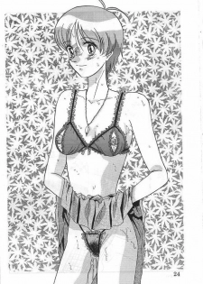 (C50) [Koa (Various)] Dengeki Inuoh 3 (Various) - page 25
