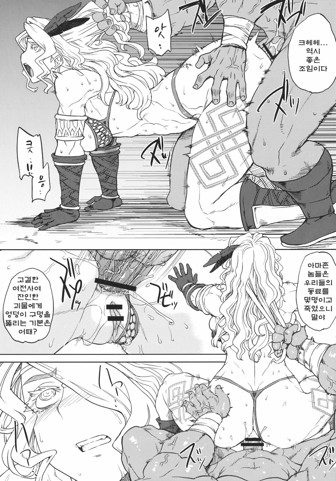 (C80) [Choujikuu Yousai Kachuusha] GODDESS CROWN (Dragon's Crown) (korean) page 10 full