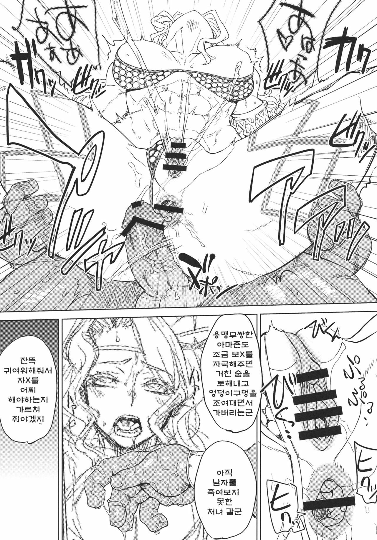 (C80) [Choujikuu Yousai Kachuusha] GODDESS CROWN (Dragon's Crown) (korean) page 17 full