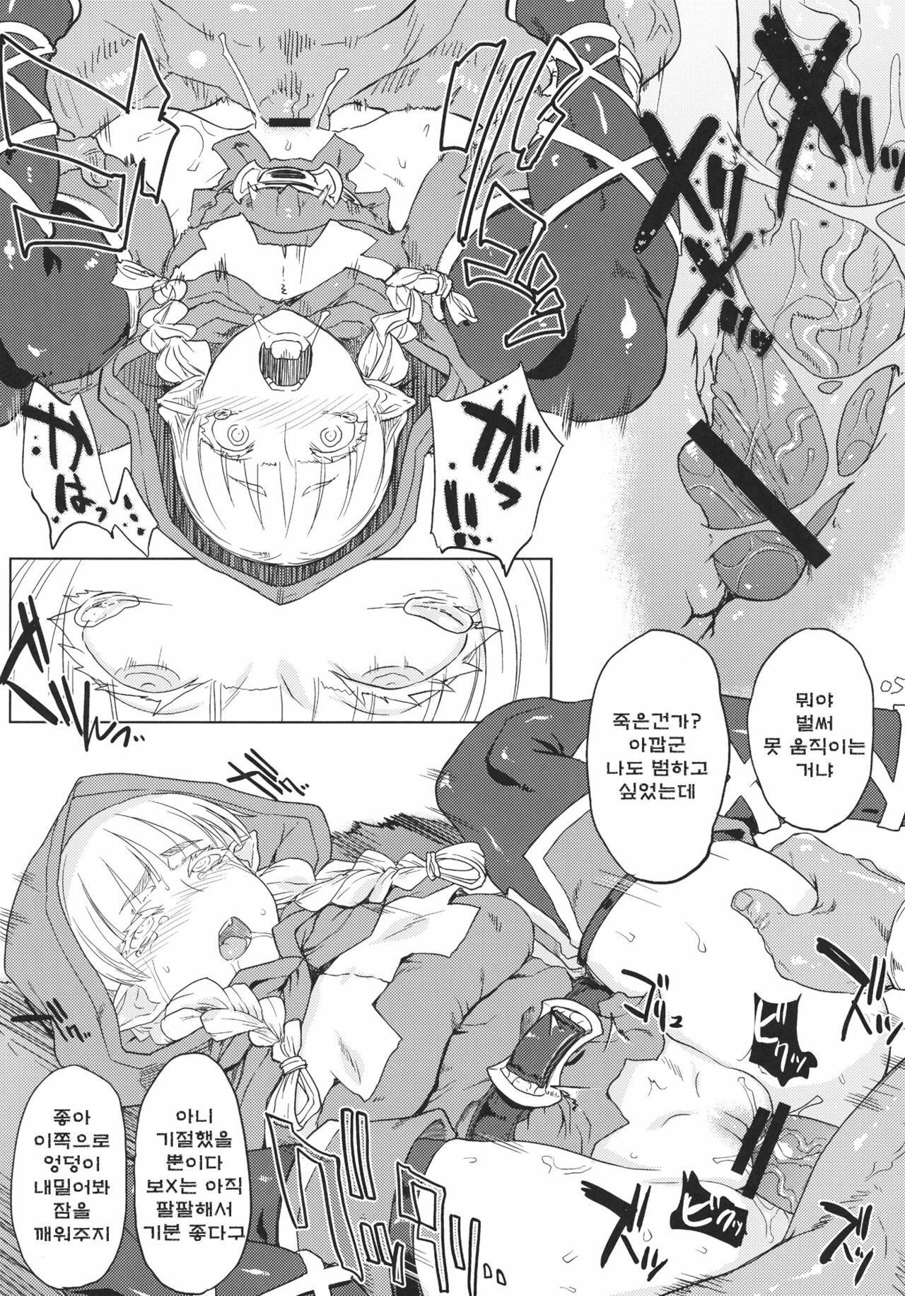 (C80) [Choujikuu Yousai Kachuusha] GODDESS CROWN (Dragon's Crown) (korean) page 6 full