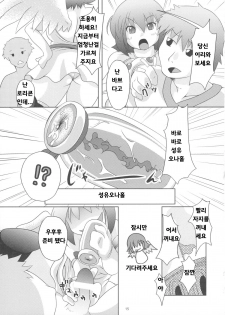 (C73) [Alice no Takarabako, Watosato (Mizuryu Kei, Sugiura)] Onaho (Queen's Blade) [Korean] [Bigking] - page 14