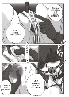 (C75) [WILD CARD (Takashi Naruse, Morio☆Hajioka)] Ero no Tsukaima (ZEro no Tsukaima) [Spanish] - page 19