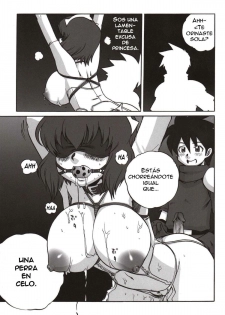 (C75) [WILD CARD (Takashi Naruse, Morio☆Hajioka)] Ero no Tsukaima (ZEro no Tsukaima) [Spanish] - page 22