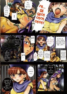 (C78) [Modae Tei (Modaetei Anetarou, Modaetei Imojirou)] Oujo Rojou Dokubou - Saintheim no Rakujitsu | 왕녀 노상 독방 - 센트하임의 낙일 (Dragon Quest IV) [Korean] [Project H] - page 7