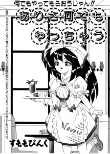 [すもも堂] すもも ぴんく作品集.2 [RJ078958] ありさ何でもやっちゃう