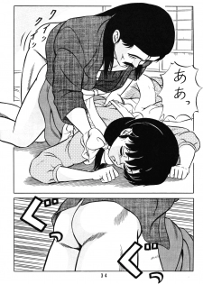(C38) [Takashita-ya (Taya Takashi)] Tendo-ke no Musume-tachi - The Ladies of the Tendo Family Vol. 1 (Ranma 1/2) - page 33