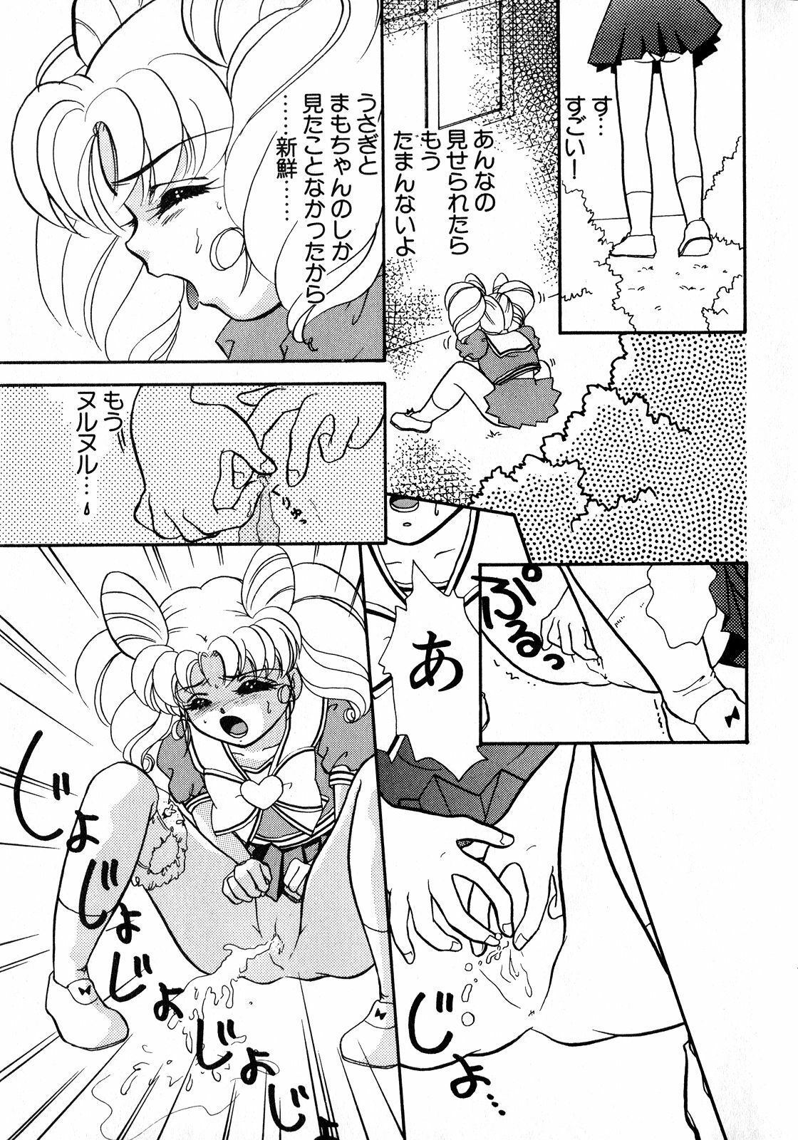 [Anthology] Lunatic Party 8 (Sailor Moon) page 30 full