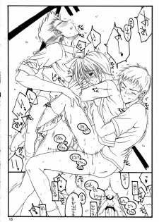 (C63) [THE FLYERS (Naruse Mamoru)] -Extra- (With You ~Mitsumete Itai~) - page 17
