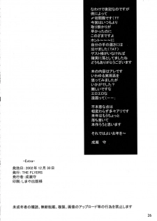 (C63) [THE FLYERS (Naruse Mamoru)] -Extra- (With You ~Mitsumete Itai~) - page 25