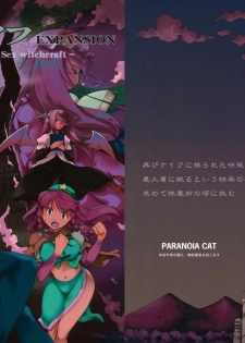 (C80) [PARANOIA CAT (Fujiwara Shunichi)] Touhou Ukiyo Emaki Bishou Knife EXPANSION | Smiling Knife EXPANSION (Touhou Project) [English] [desudesu]