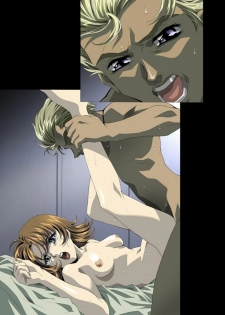 (C66) [HenReiKai (Kawarajima Koh)] Seed Another Century Plus (Gundam SEED) - page 13