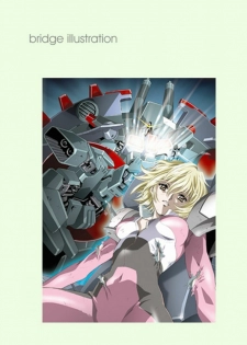 (C66) [HenReiKai (Kawarajima Koh)] Seed Another Century Plus (Gundam SEED) - page 15