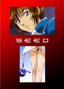 (C66) [HenReiKai (Kawarajima Koh)] Seed Another Century Plus (Gundam SEED) - page 2