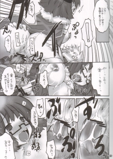 (C68) [Seinansei ni Kagayakeru Hoshi (Morino Papiko)] Ragnarok Yawa Level.6 (Ragnarok Online) - page 19