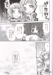 (C68) [Seinansei ni Kagayakeru Hoshi (Morino Papiko)] Ragnarok Yawa Level.6 (Ragnarok Online) - page 23