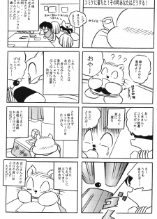 [C-COMPANY] Puchiguma Book 2 (Ranma 1/2) - page 11