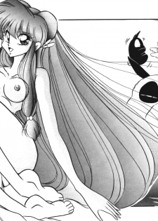 [C-COMPANY] Puchiguma Book 2 (Ranma 1/2) - page 14