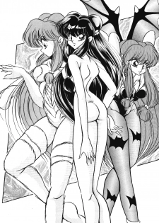[C-COMPANY] Puchiguma Book 2 (Ranma 1/2) - page 2