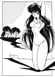 [C-COMPANY] Puchiguma Book 2 (Ranma 1/2) - page 3