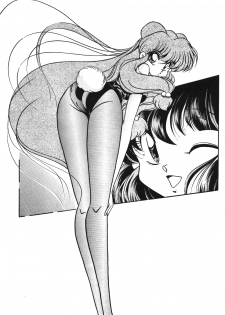 [C-COMPANY] Puchiguma Book 2 (Ranma 1/2) - page 8