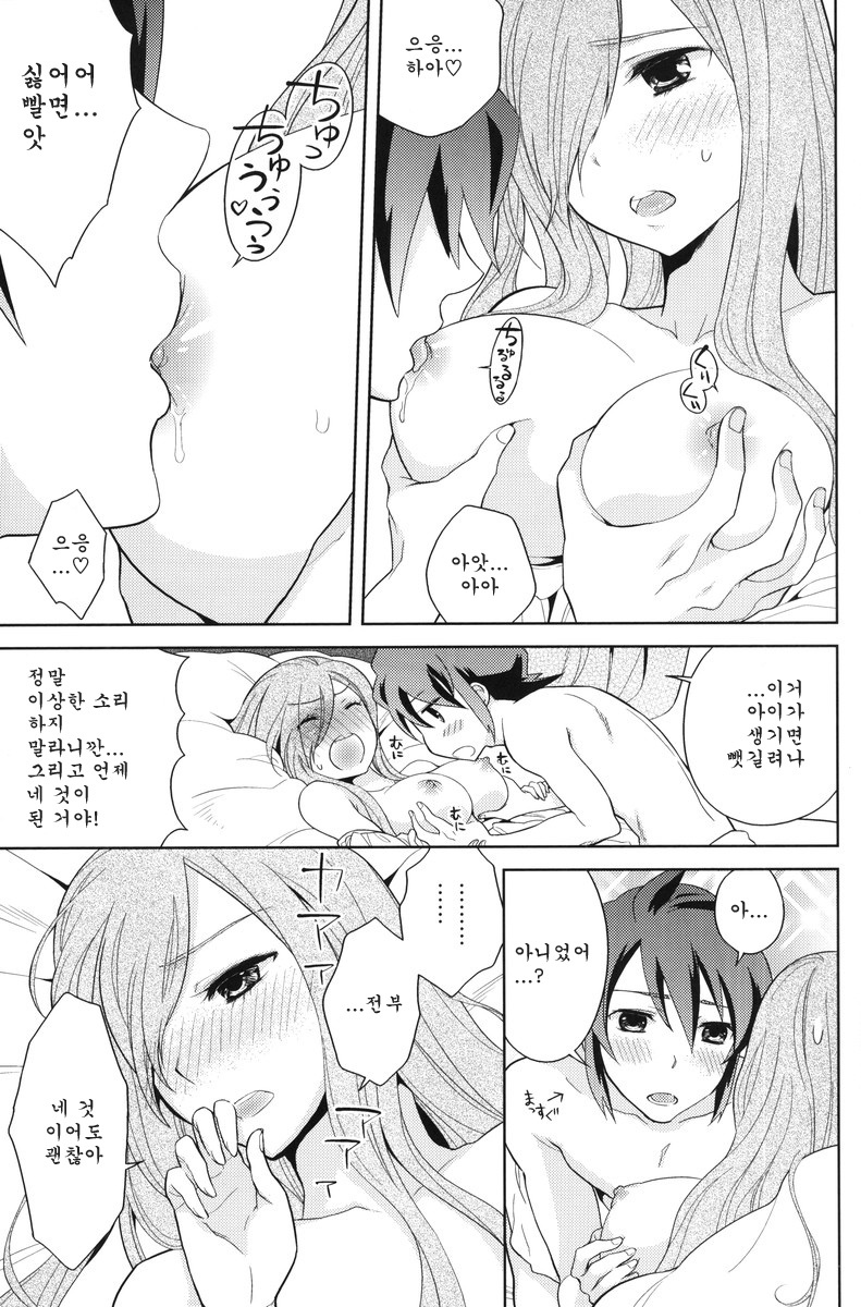 (C80) [Aerial Soul (Shiina)] Meshimase Miso Parfait (Tales of the Abyss) [Korean] [Team Arcana] page 14 full