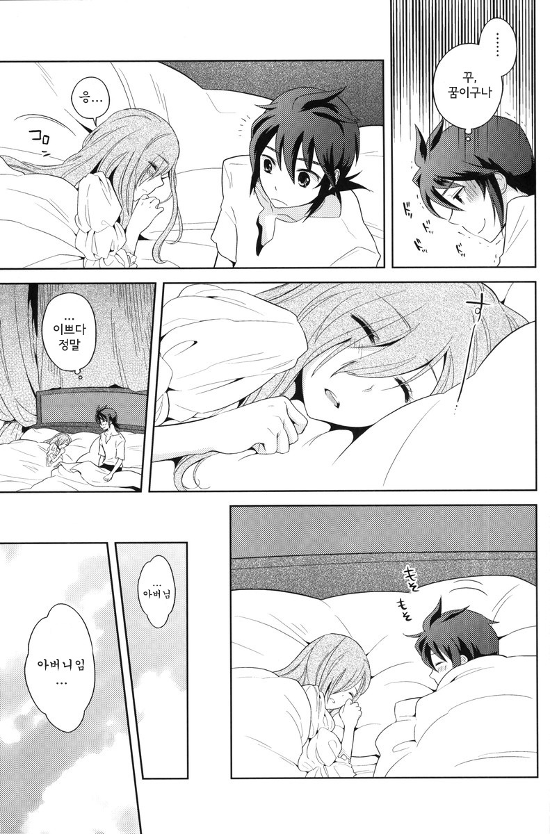 (C80) [Aerial Soul (Shiina)] Meshimase Miso Parfait (Tales of the Abyss) [Korean] [Team Arcana] page 6 full