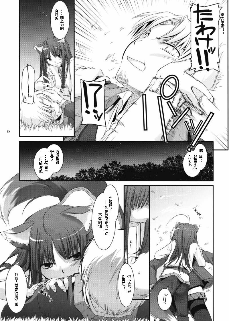 (COMIC1☆2) [Digital Lover (Nakajima Yuka)] D.L. action 43 (Spice and Wolf) [Chinese] [ACT-SJH汉化] page 18 full