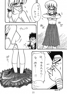 [Studio Wolf (Ogami Wolf)] Neko Ranma (Various) - page 20