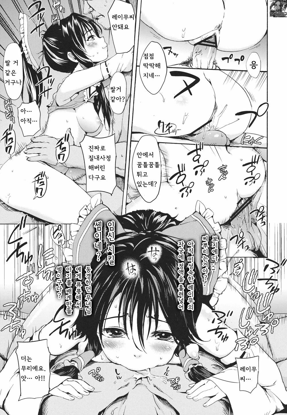 (C80) [Satellites (Satetsu)] Rakuen no Inmu (Touhou Project) [Korean] [kERO kun] page 14 full