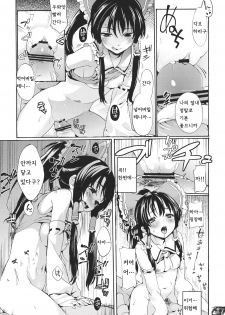 (C80) [Satellites (Satetsu)] Rakuen no Inmu (Touhou Project) [Korean] [kERO kun] - page 12