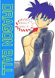 (C47) [Chirigami Goya, Fusuma Goten (Shouji Haruzo)] YY (Dragon Ball Z) - page 43