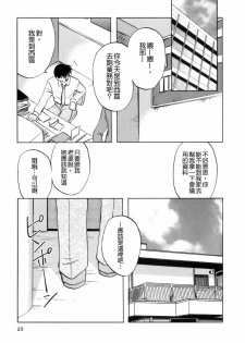 [Maeda Sengoku] Mrs. Link [Chinese] [貪狼閣漢化工作室] - page 27