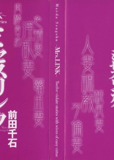 [Maeda Sengoku] Mrs. Link [Chinese] [貪狼閣漢化工作室] - page 2
