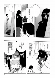 [Maeda Sengoku] Mrs. Link [Chinese] [貪狼閣漢化工作室] - page 31
