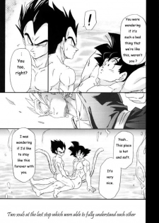 [Dokugunryu (Komakawa Rimi)] MONSTRUO (Dragon Ball Z) [English] [Yoaken] - page 7