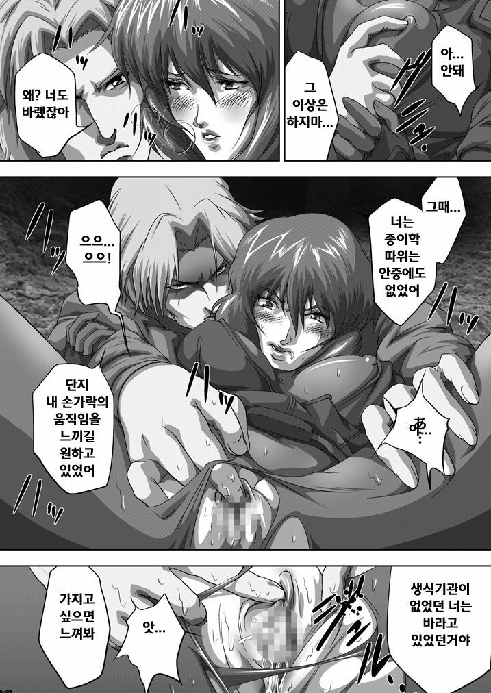 [Akiyama Kougyou (Mikazuki Shikou)] Dennou Bichiku (Ghost in the Shell)(korean)(Bigking) page 7 full
