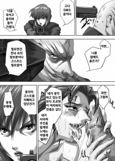 [Akiyama Kougyou (Mikazuki Shikou)] Dennou Bichiku (Ghost in the Shell)(korean)(Bigking) - page 4