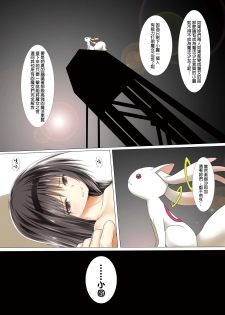 [POETTO (Haryuu)] Mahou Shoujo Gari (Puella Magi Madoka Magica) [Chinese] [final個人漢化] [Digital] - page 11