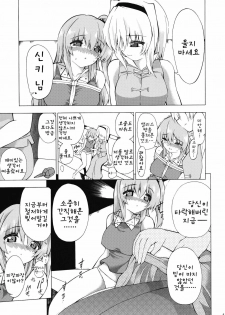 (Yougakudan Carnival!) [Fuantei (Furari, Kome Dorobou)] Kore de Ranshin Makaishin | 이것으로 란심★마계신 (Touhou Project) [Korean] [팀☆면갤] - page 12