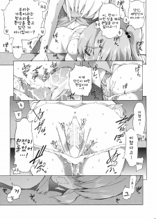 (Yougakudan Carnival!) [Fuantei (Furari, Kome Dorobou)] Kore de Ranshin Makaishin | 이것으로 란심★마계신 (Touhou Project) [Korean] [팀☆면갤] - page 24