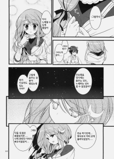 (C78) [Ryuknigthia (Kiduki Erika)] Daily RO 3 (Ragnarok Online) [Korean] - page 11